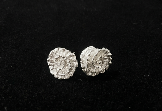 Puces d'oreilles Synapse Swirl (argent)